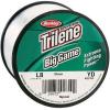 imageBerkley Trilene Big Game Monofilament Fishing LineClear