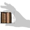 imageBerkley Trilene Big Game Monofilament Fishing LineCoastal Brown