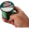 imageBerkley Trilene Big Game Monofilament Fishing LineGreen