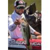 imageBerkley Bass Fishing Bait KitBass New