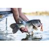 imageBerkley Bass Fishing Bait KitBass New
