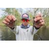 imageBerkley Flute Worm Fishing Soft Plastic Lure 47 Inch 1 PieceIKEs Magic