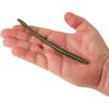 imageBerkley PowerBait Bottom Hopper Fishing Soft BaitGreen Pumpkin Candy