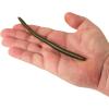 imageBerkley PowerBait Bottom Hopper Fishing Soft BaitGreen Pumpkin Green