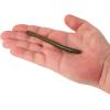 imageBerkley PowerBait Bottom Hopper Fishing Soft BaitGreen Pumpkin Green