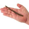 imageBerkley PowerBait Bottom Hopper Fishing Soft BaitGreen PumpkinWatermelon