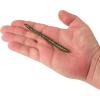 imageBerkley PowerBait Bottom Hopper Fishing Soft BaitWatermelon Magic