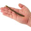imageBerkley PowerBait Bottom Hopper Fishing Soft BaitWatermelon Seed
