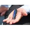 imageBerkley PowerBait MaxScent Chigger Craw Fishing Soft BaitBlack Blue Fleck