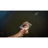 imageBerkley Powerbait Buzzn Speed ToadWhite