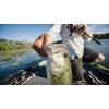 imageBerkley Powerbait Buzzn Speed ToadWhite