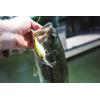 imageBerkley Frittside Fishing Hard BaitCrankbait Haul of Fame Kit