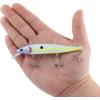 imageBerkley Stunna Fishing Hard BaitBaja