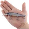 imageBerkley Stunna Fishing Hard BaitBlue Vapor OB
