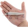 imageBerkley Stunna Fishing Hard BaitFrench Pearl OB