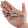 imageBerkley Stunna Fishing Hard BaitMF Tennessee Shad