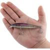 imageBerkley Stunna Fishing Hard BaitNorthern Lights