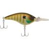 MF Bluegill