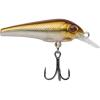 Sand Shiner