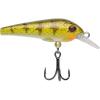 Yellow Perch