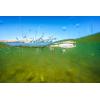 imageBerkley Choppo Fishing Hard BaitMF Shad