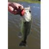 imageBerkley Crankbait Hard Fishing LuresBig Money