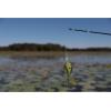 imageBerkley Crankbait Hard Fishing LuresBig Money