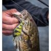 imageBerkley Crankbait Hard Fishing LuresGilly