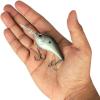 imageBerkley Dredger Fishing Hard BaitGreen Shad