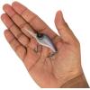 imageBerkley Dredger Fishing Hard BaitStone Cold