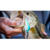 imageBerkley Dredger Fishing Hard BaitVanilla Chartreuse