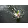 imageBerkley Flicker Minnow Fishing Hard BaitChartreuse Pearl