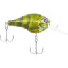 Moss Craw