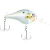 Sexier Shad
