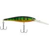 Flashy Perch