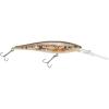 Hd Blacknose Dace