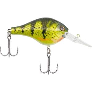 imageBerkley Crankbait Hard Fishing LuresYellow Perch