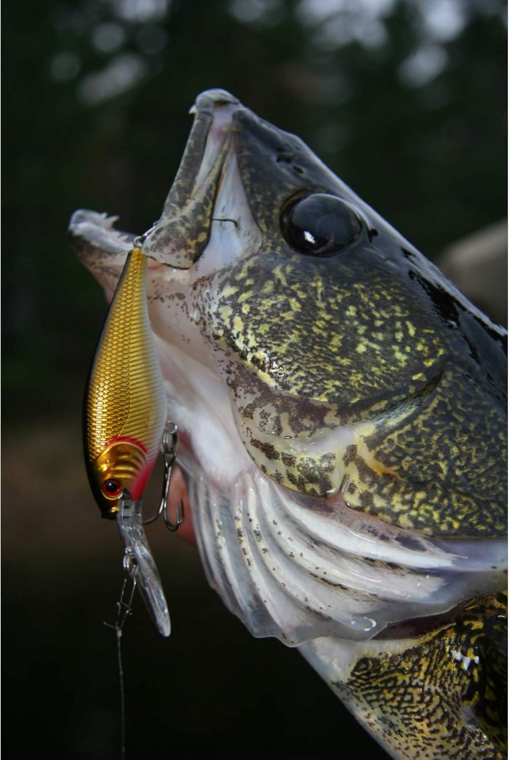 imageBerkley Berkley Flicker ShadFiretail Chrome Candy