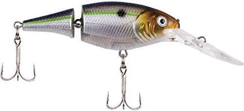 imageBerkley Flicker Shad Jointed Crankbait 2 Pack Red Tiger 13 oz 2 34in 79 Dive DepthBlack Silver