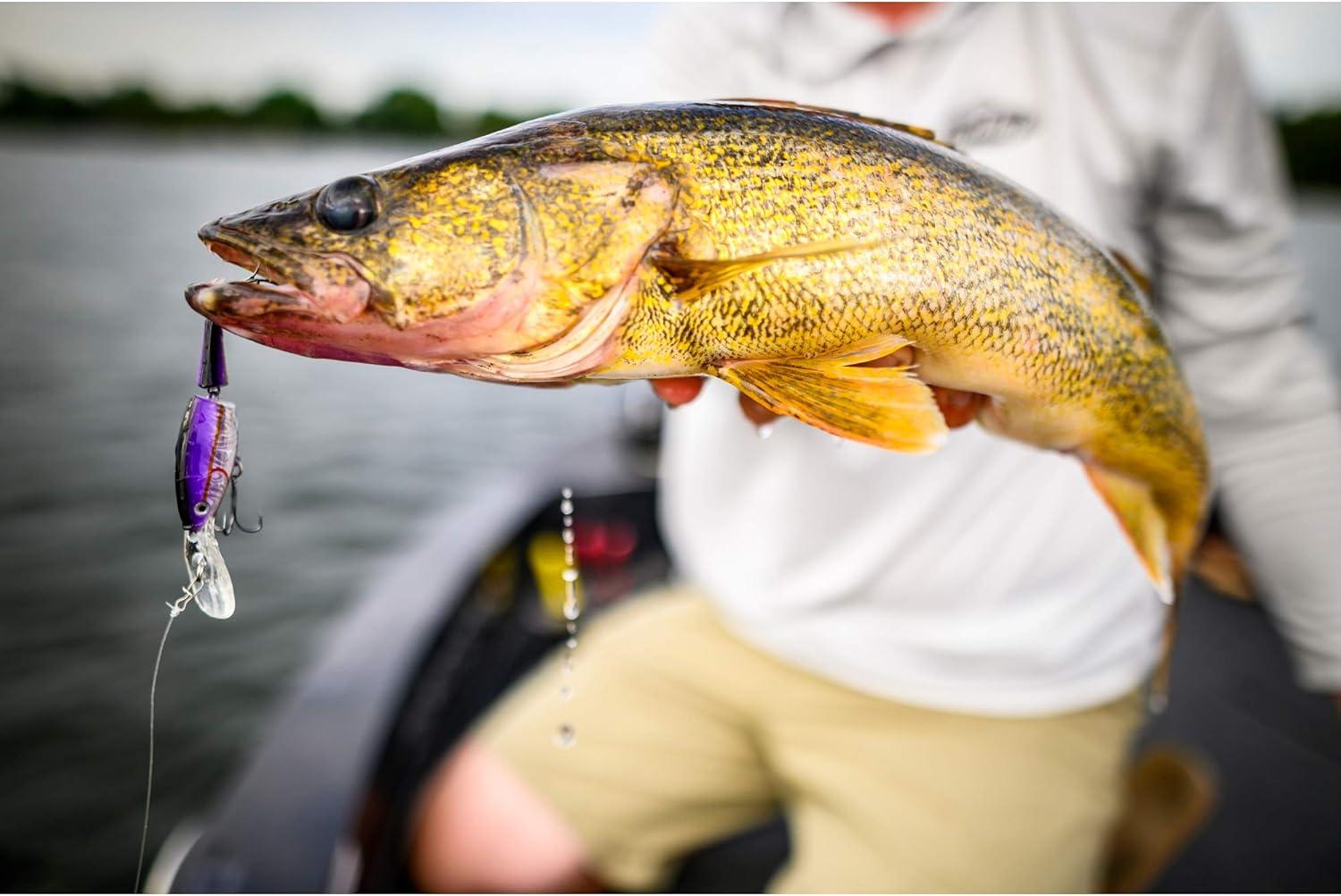 imageBerkley Flicker Shad Jointed Crankbait 2 Pack Red Tiger 13 oz 2 34in 79 Dive DepthFiretail Hot Perch