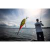 imageBerkley Berkley Flicker ShadFiretail Chrome Candy
