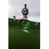 imageBerkley Berkley Flicker ShadMF Bluegill
