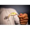 imageBerkley Flicker Shad Jointed Crankbait 2 Pack Red Tiger 13 oz 2 34in 79 Dive DepthChartreuse Pearl