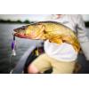 imageBerkley Flicker Shad Jointed Crankbait 2 Pack Red Tiger 13 oz 2 34in 79 Dive DepthChartreuse Pearl