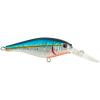 Slick Blue Alewife