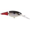 Firetail Red Tail