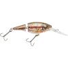 HD Blacknose Dace