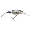 HD Spottail Shiner