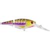 Purple Tiger