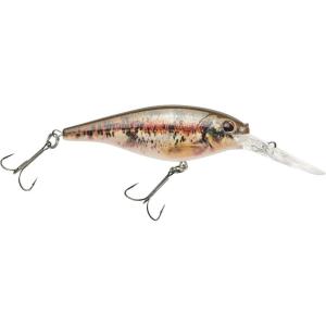 imageBerkley Berkley Flicker ShadHD Blacknose Dace